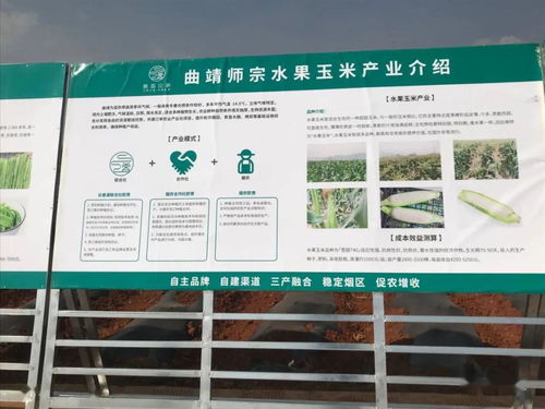 推廣有機(jī)肥改良土壤結(jié)構(gòu)，云南國發(fā)助力師宗煙草綠色高質(zhì)量發(fā)展